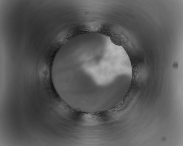 X0000102350568200808291204