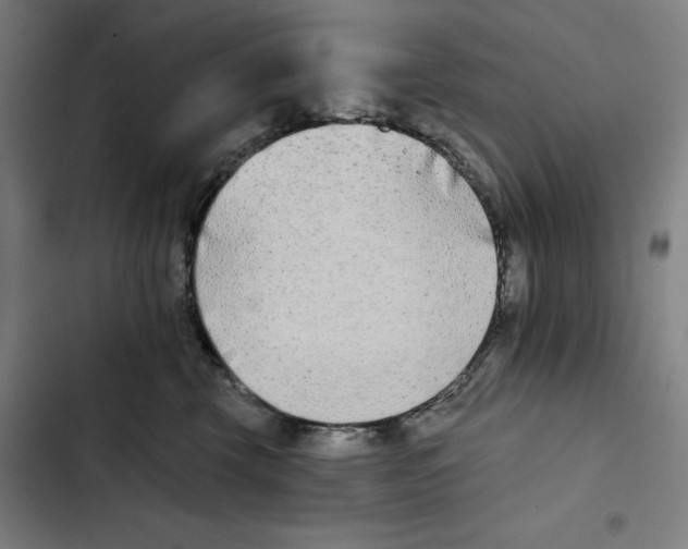 X0000102350569200808291204