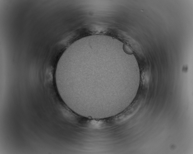X0000102350570200808291204