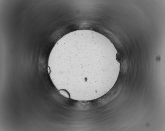 X0000102350571200808291204