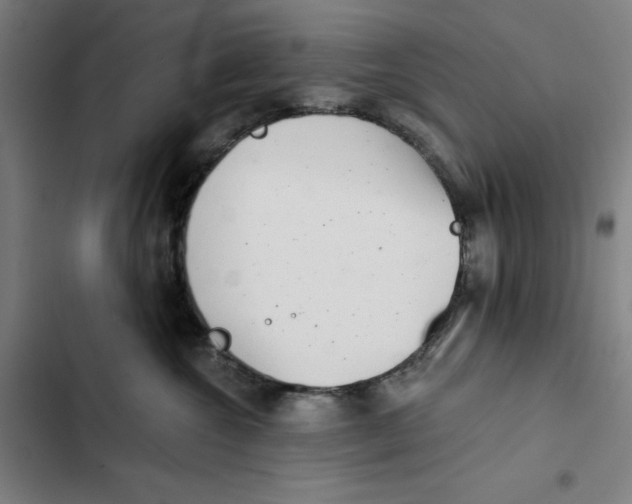 X0000102350572200808291204