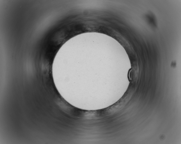 X0000102350574200808291204