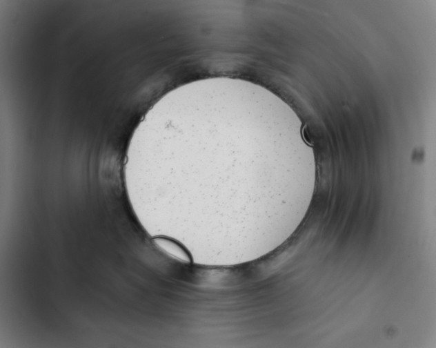 X0000102350575200808291204
