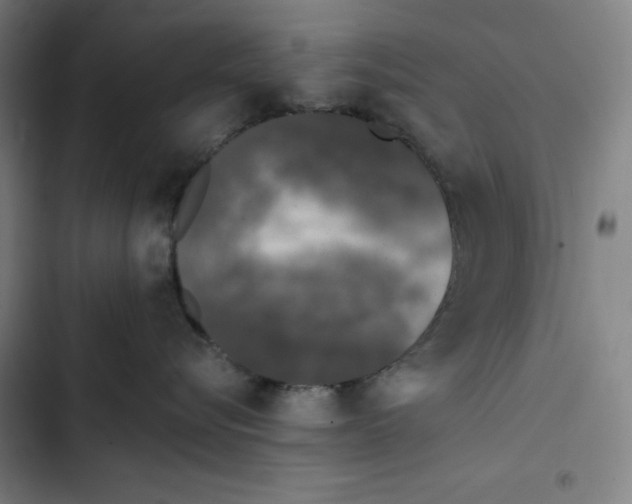 X0000102350576200808291204