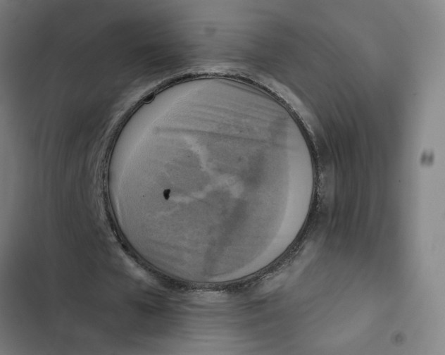 X0000102350577200808291203