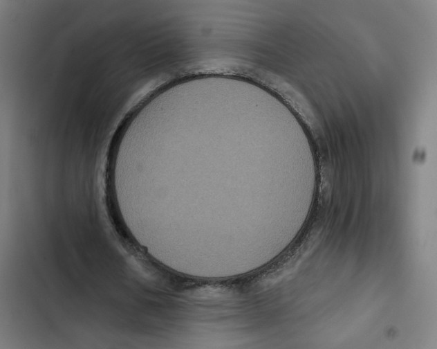 X0000102350578200808291203
