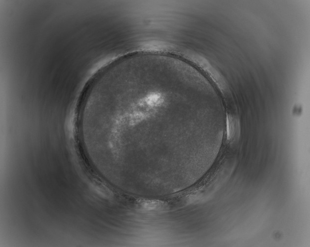 X0000102350579200808291203