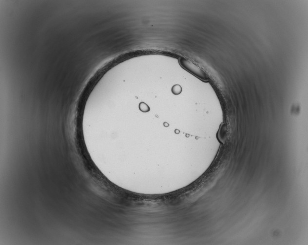 X0000102350580200808291203
