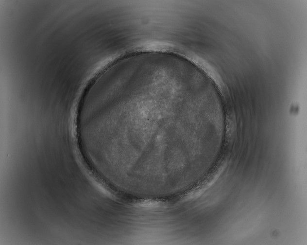 X0000102350581200808291203
