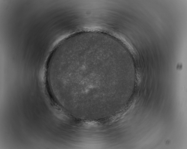 X0000102350583200808291203