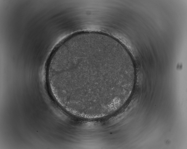 X0000102350584200808291203