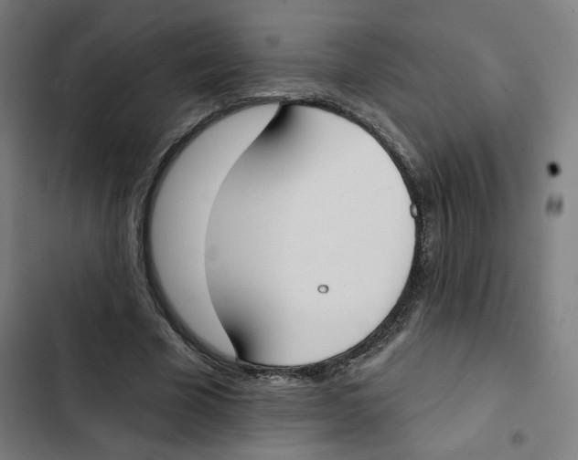 X0000102350585200808291203