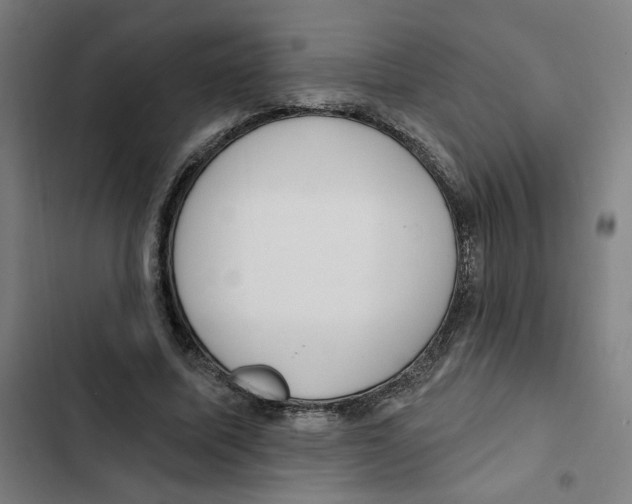 X0000102350587200808291203