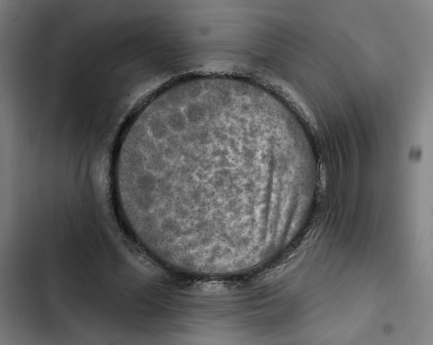 X0000102350588200808291203