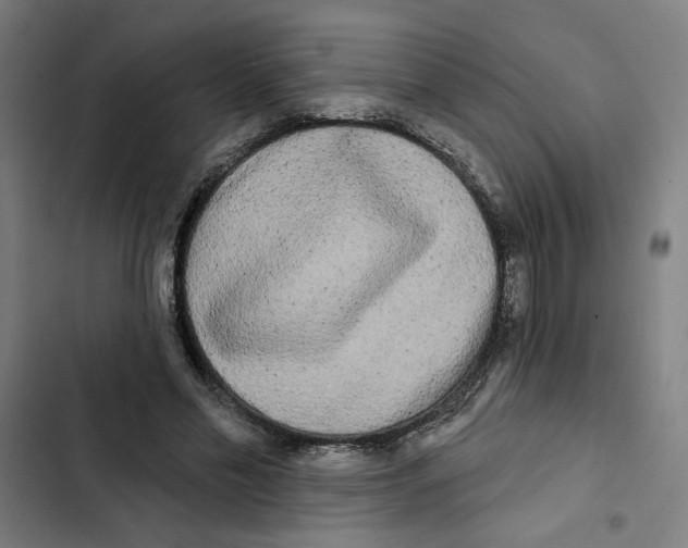 X0000102350589200808291203