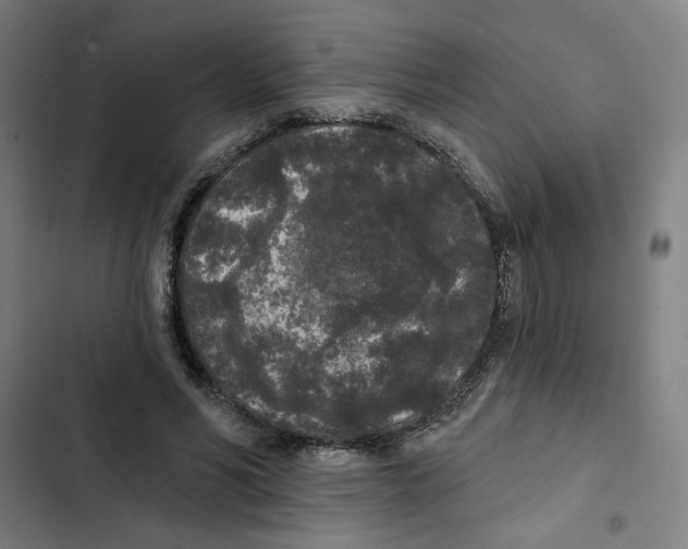 X0000102350590200808291203