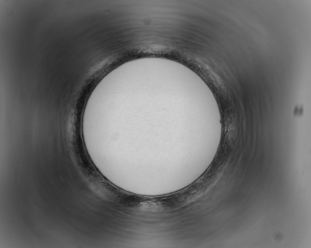 X0000102350591200808291203