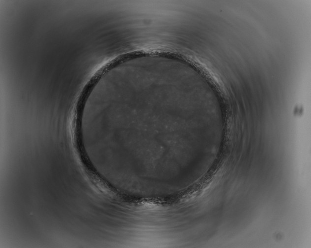 X0000102350592200808291203
