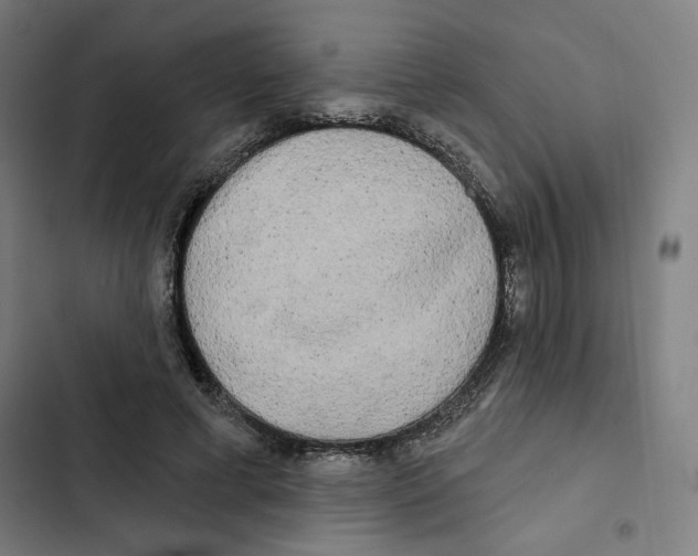X0000102350593200808291203