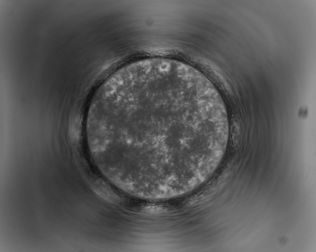 X0000102350596200808291203
