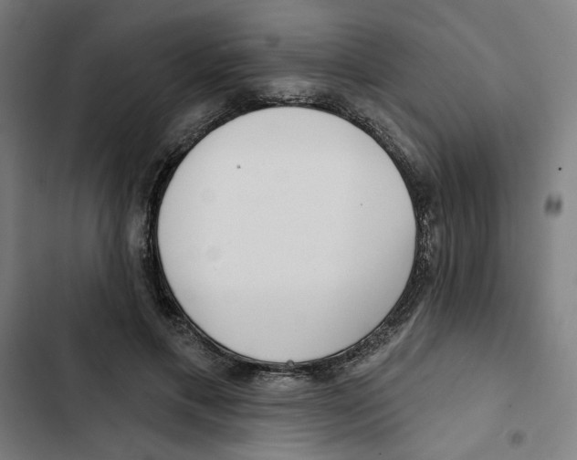 X0000102350597200808291203
