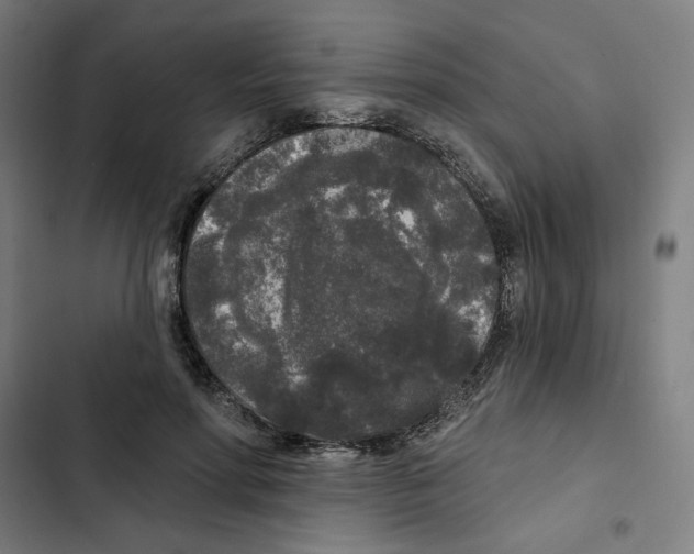 X0000102350598200808291203