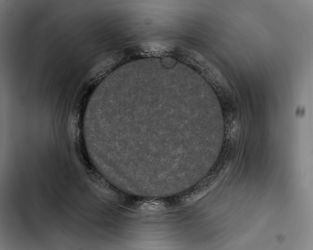 X0000102350599200808291203