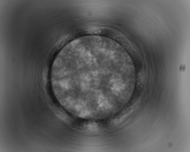 X0000102350600200808291203