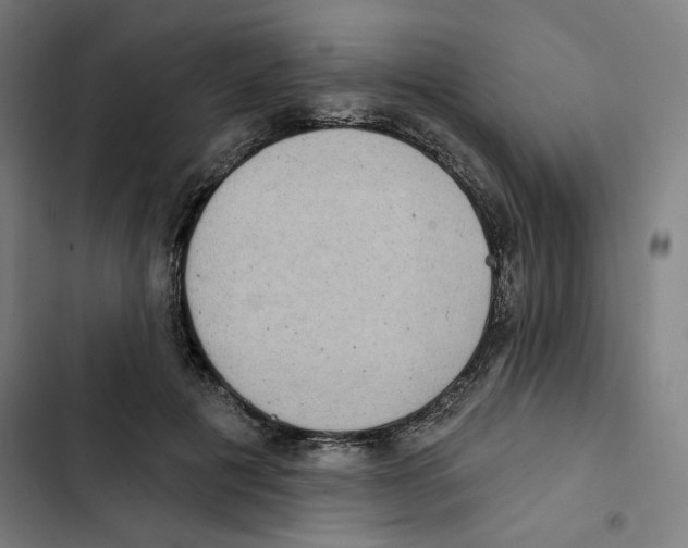 X0000102350601200808291203