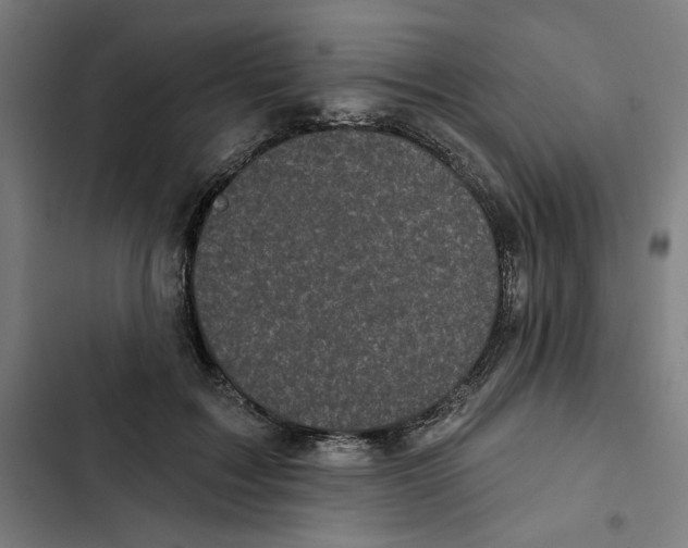 X0000102350603200808291203