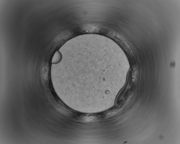 X0000102350604200808291203