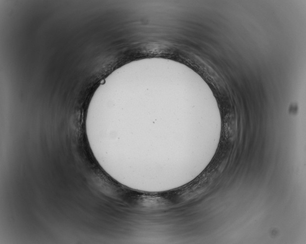X0000102350605200808291203