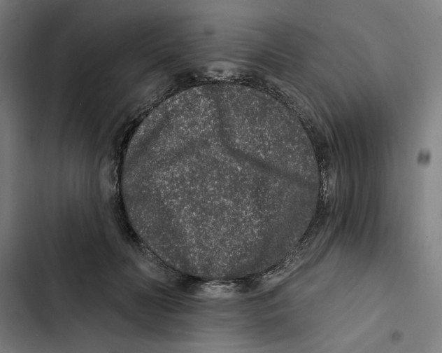 X0000102350606200808291203
