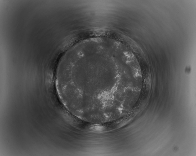 X0000102350610200808291203