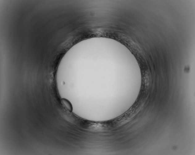 X0000102350611200808291203