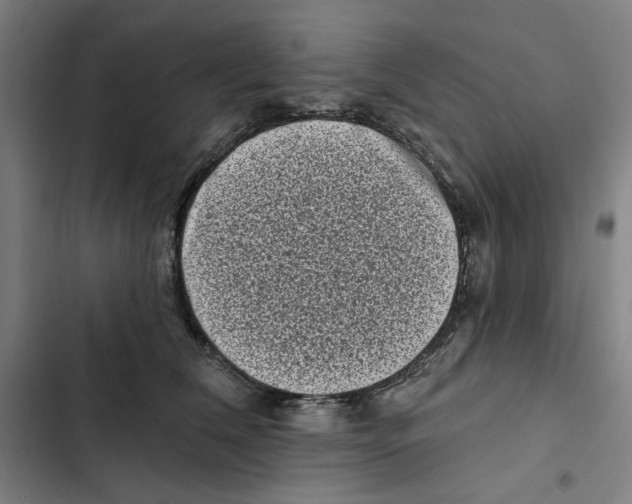 X0000102350612200808291203