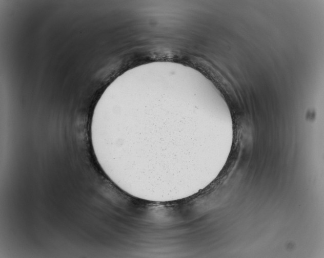 X0000102350616200808291203