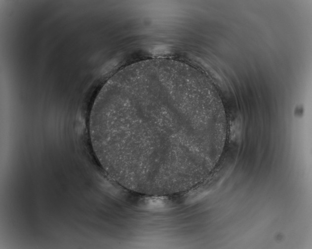 X0000102350618200808291203