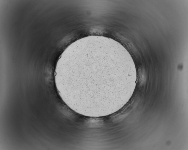X0000102350619200808291203