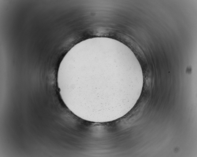 X0000102350620200808291203