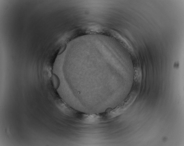 X0000102350621200808291203
