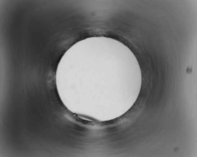 X0000102350624200808291202