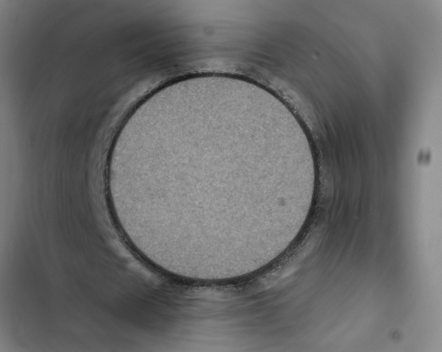 X0000102350625200808291202