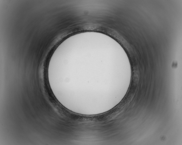X0000102350626200808291202