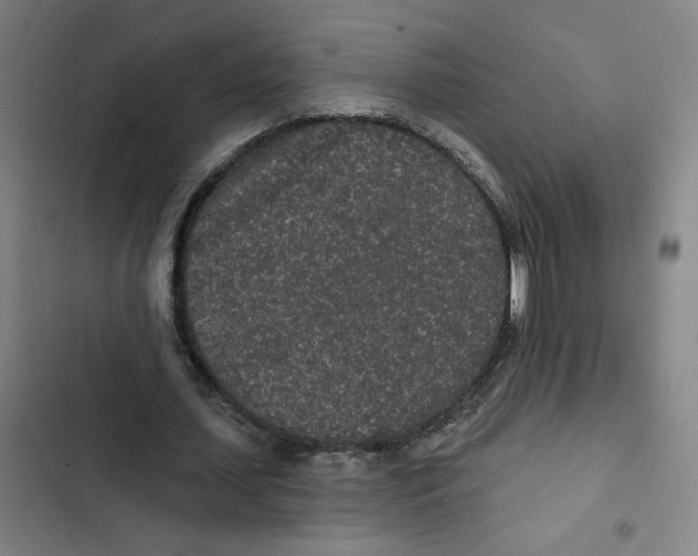 X0000102350627200808291202