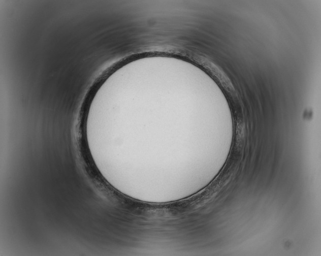 X0000102350628200808291202