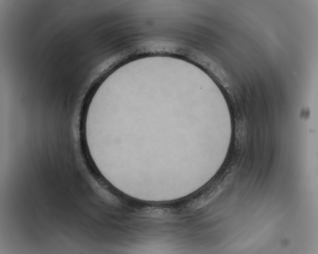 X0000102350629200808291202