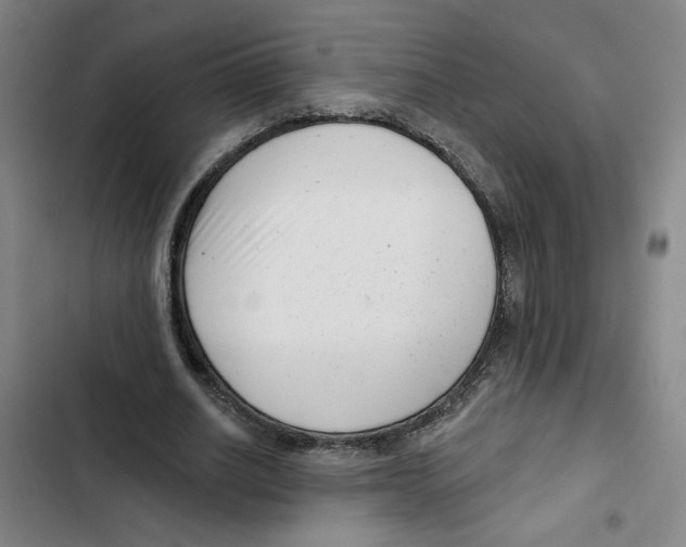X0000102350630200808291202