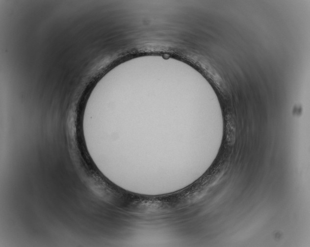 X0000102350631200808291202