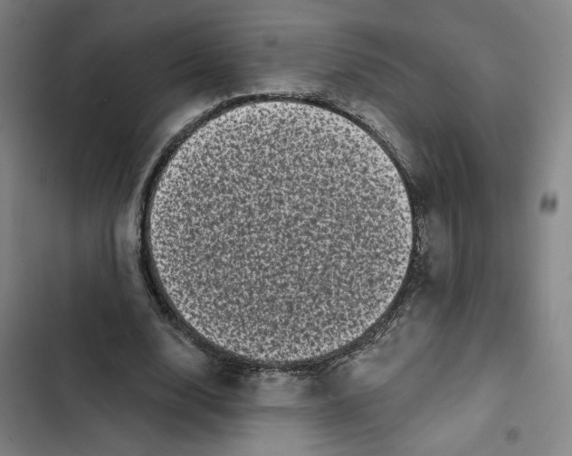 X0000102350632200808291202